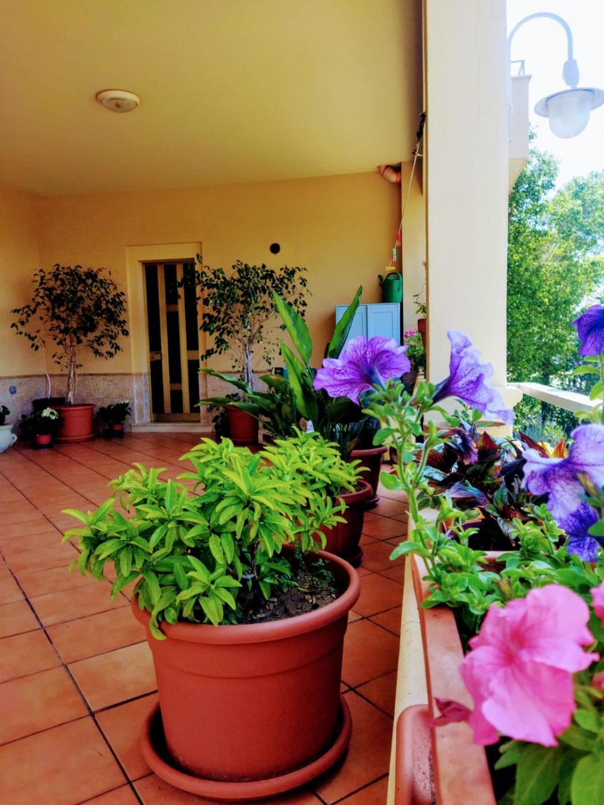 Apartament A Due Passi Dal Molino Valderice Zewnętrze zdjęcie